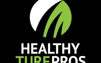 Why Choose Healthy Turf Pro’s for Lawn Fertilization in Livonia MI?