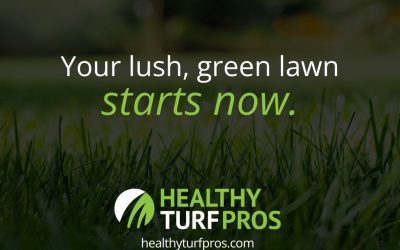Lawn Fertilization & Weed Control Livonia MI